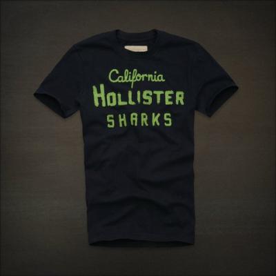 Hollister Men Shirts-382